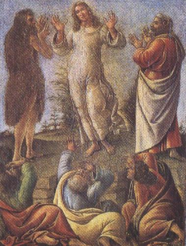 Sandro Botticelli Transfiguration,wtih St jerome and St Augustine (mk36) Norge oil painting art